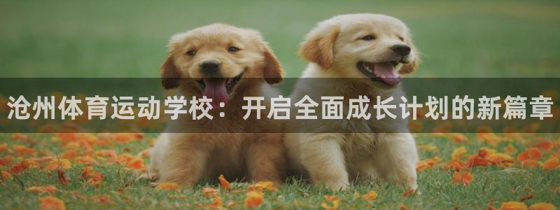 公海赌赌船官方正版app集团：沧州体育运动学校：开启全面成长