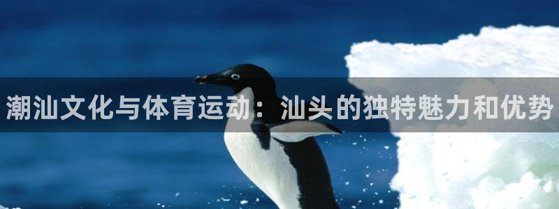 公海赌赌船官方正版app集团E.ON：潮汕文化与体育运动：汕