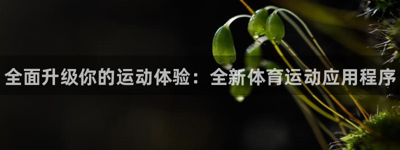 公海赌赌船官网下载：全面升级你的运动体验：全新体育运动应用程