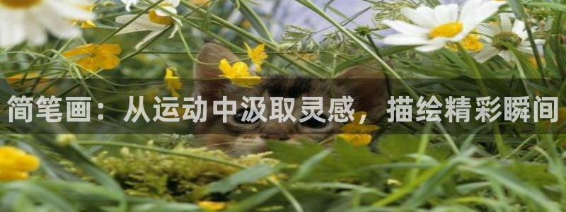 公海赌赌船官网下载招商电话是多少：简笔画：从运动中汲取灵感，