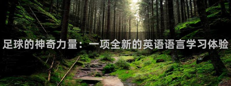 公海赌赌船官方平台体育：足球的神奇力量：一项全新的英语语言学