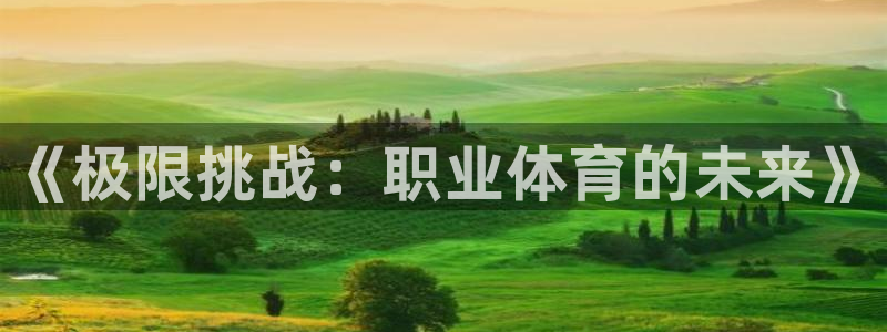 公海赌赌船官方正版app代理：《极限挑战：职业体育的未来》