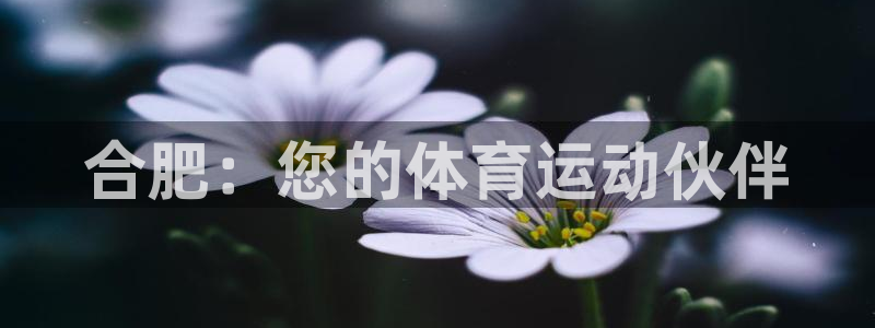 公海赌赌船官网下载招商电话：合肥：您的体育运动伙伴
