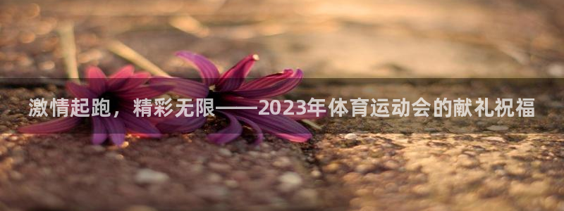 公海赌赌船官网下载平台注册流程图：激情起跑，精彩无限