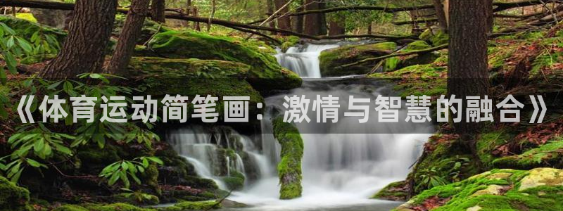 公海赌赌船官网下载招商电话地址：《体育运动简笔画：激情与智慧