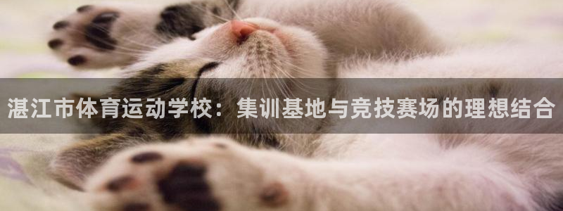 公海赌赌船官方正版app娱乐网站