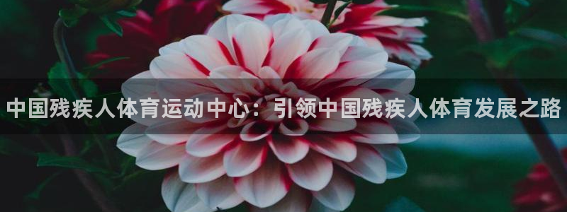 公海赌赌船官网下载注册：中国残疾人体育运动中心：引领