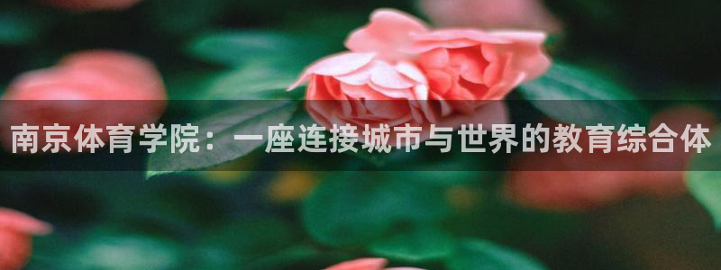 公海赌赌船官方正版app神州：南京体育学院：一座连接