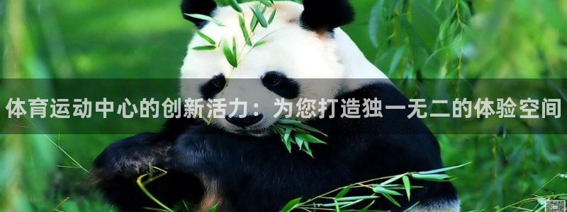 公海赌赌船官网下载官方客服电话：体育运动中心的创新活