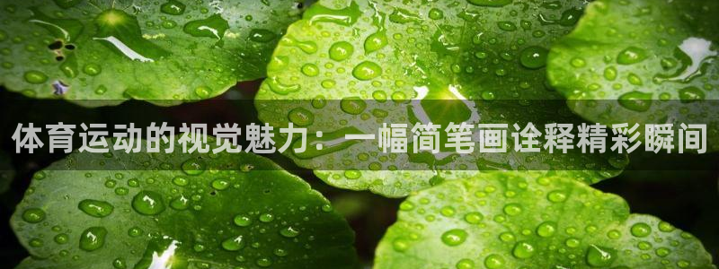 公海赌赌船官网下载平台注册要钱吗：体育运动的视觉魅力