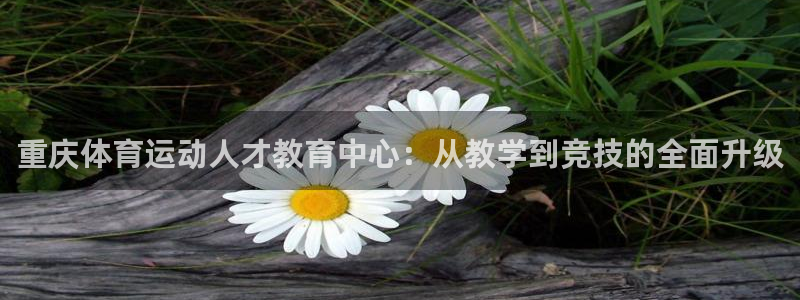 公海赌赌船官方正版app集团官网首页：重庆体育运动人