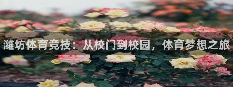 德国公海赌赌船官方正版app集团：潍坊体育竞技：从校