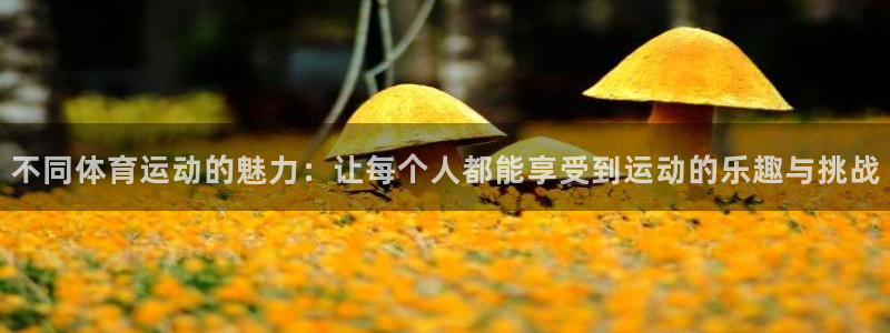 注册公海赌赌船官方正版app：不同体育运动的魅力：让