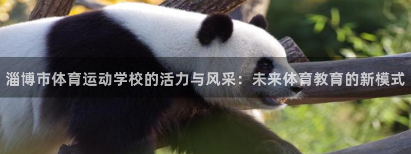 公海赌赌船官网下载平台注册流程视频：淄博市体育运动学