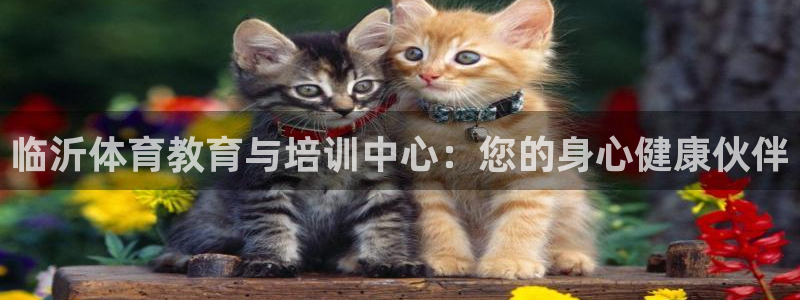 公海赌赌船官网下载招商电话号码是多少号：临沂体育教育