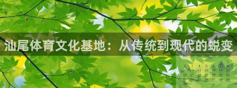 公海赌赌船官方正版app科技：汕尾体育文化基地：从传