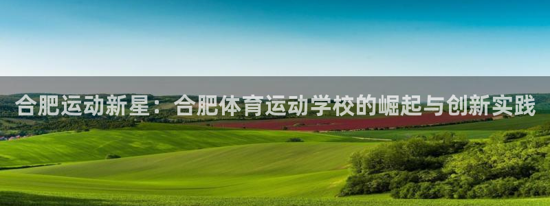 公海赌赌船官网下载平台注册：合肥运动新星：合肥体育运