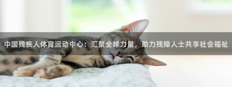 公海赌赌船官网下载平台注册要钱吗是真的吗：中国残疾人