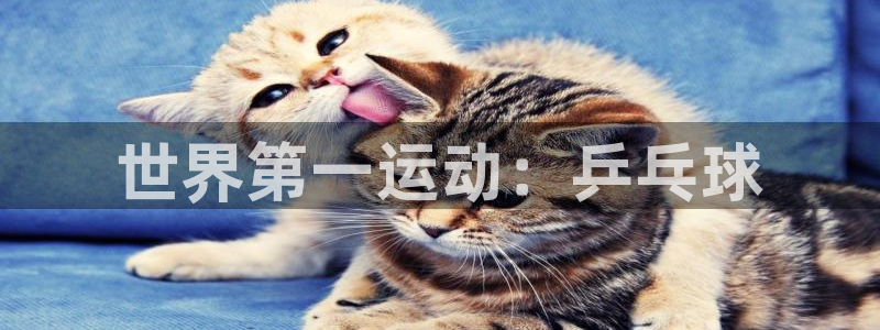 公海赌赌船官网下载注册：世界第一运动：乒乓球