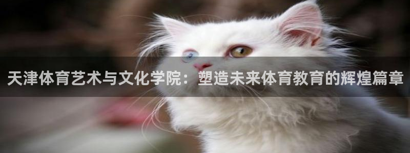 公海赌赌船官网下载招商电话号码：天津体育艺术与文化学