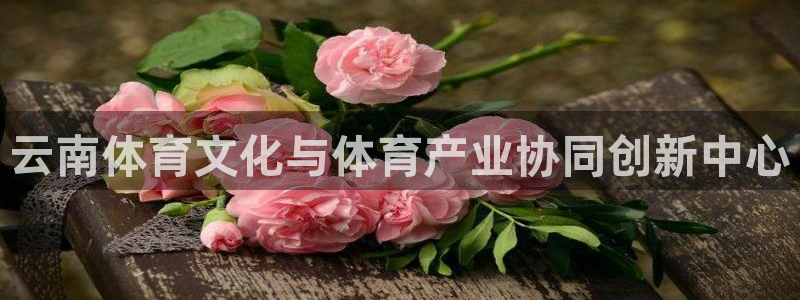 公海赌赌船官方正版app集团官网网址：云南体育文化与体育产业