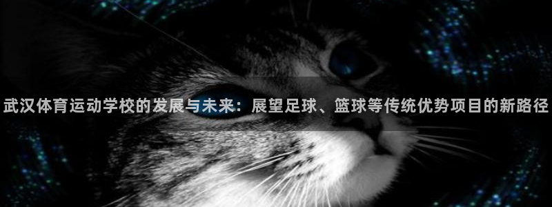 海南公海赌赌船官网下载：武汉体育运动学校的发展与未来：展望足