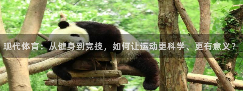 公海赌赌船官网下载是干嘛的公司：现代体育：从健身到竞技，如何