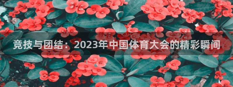 公海赌赌船官方正版app集团logo：竞技与团结：2